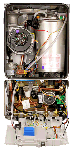 wc greenstar junior inner after fd 887.gif